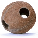 Terrario CocoLair - whole natural coconut